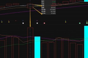 Coinbase遭遇大幅下滑超226%，投资者恐慌性抛售的简单介绍-九游娱乐