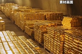 专家称SHIB将在年底冲破140美元，引发引发关注-九游体育