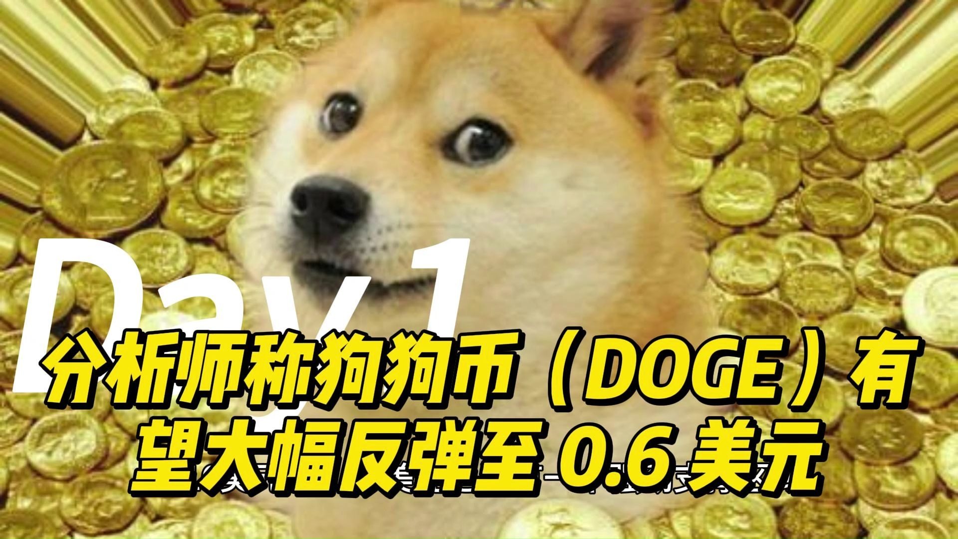 USDT创下年内新高，上扬幅高达狗狗币%，还能追吗？